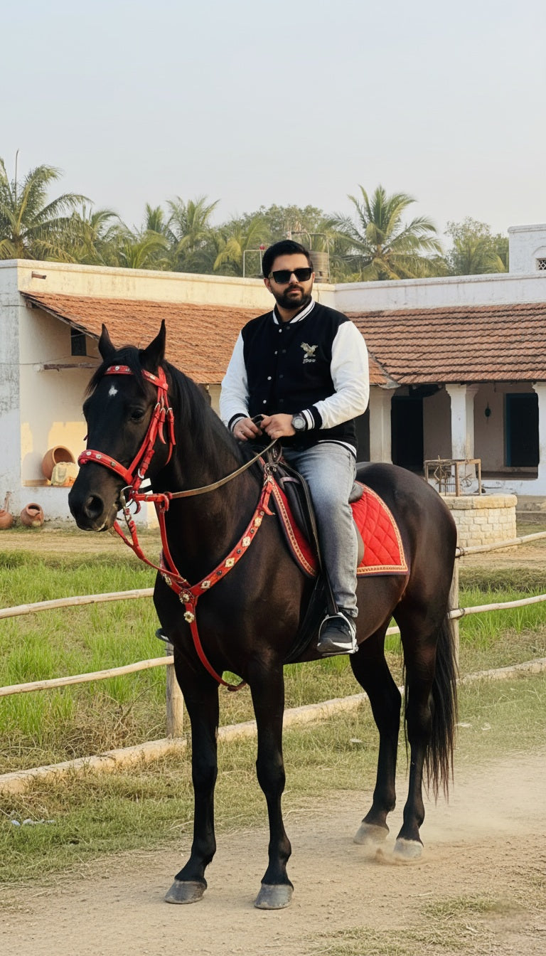 Skyline Grit - Noiseless Heights Varsity Jacket